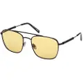 Tods To0379 Solbriller