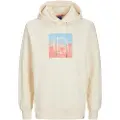 Jack & Jones Aruba Sunset Branding Hættetrøje