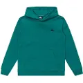 Quiksilver Basic Hættetrøje