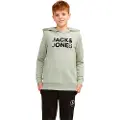 Jack & Jones Embro Palm Hættetrøje