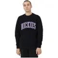Dickies Aitkin Sweatshirt