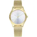 Radiant Tigy 37 Mm Dameur