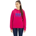 Helly Hansen Logo 2.0 Hættetrøje