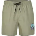 O'Neill Cali State 15´´ Badeshorts