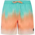 Protest Bowery Badeshorts
