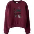 Name It Kids Økologisk Bomuld Sweatshirt