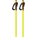 Fischer Storm Gtx S Spadserestokke