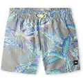 O'Neill Cali Print 13´´ Badeshorts