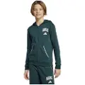 Adidas Seasonals Essentials Collegiate Typography Sweatshirt Med Lynlås