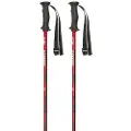 Masters Rental Carbon Spadserestokke