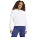 Adidas Essentials Small Logo Feelcozy Sweatshirt