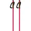 Fischer Storm Gtx L Spadserestokke