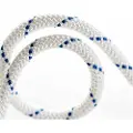 BEAL Spelenium 10.5 Mm Reb