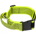 JULIUS K-9 Collar 40 Mm Hundehalsbånd