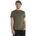 Icebreaker Merino Core T-shirt Med Korte ærmer