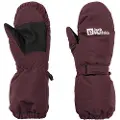 Jack Wolfskin 2l Winter Vanter
