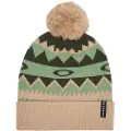 Oakley Apparel Nordic Beanie