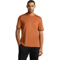Icebreaker Merino Tech Lite Iii Relaxed Pocket T-shirt Med Korte ærmer