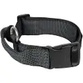 JULIUS K-9 Collar 40 Mm Hundehalsbånd