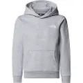 The North Face Simple Dome Hættetrøje