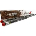 Andreani 106/kt2r Affjedrings Cartridge Kit