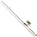 Abu Garcia Superior Spindende Combo