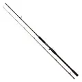 Westin W4 Powershad-t 2nd Baitcastingstang