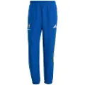 Adidas Juventus Vialli Pack Træningsbukser