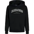Jack & Jones Caleb Varsity Hættetrøje