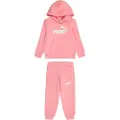 Puma Essentials No.1 Logo Sweat Suit Kids, Clothing, Pinkscape, 4-5Y