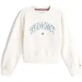 Tommy Hilfiger Sweatshirts Tommy Hilfiger TOMMY VARSITY SWEATSHIRT barn 12 år