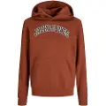 Jack & jones Caleb Varsity Hættetrøje