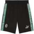 Puma AC Milan KING Sweat Shorts Men, Sport, Black/Alpine Snow, M