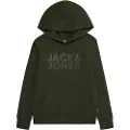 Jack & Jones Corp Logo Hættetrøje