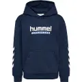 Hummel Logo Hættetrøje