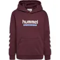 Hummel Logo Hættetrøje