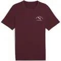 Puma Class Graphic Tee Men, Clothing, Ruby Shimmer, L