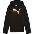 Puma Essentials Metallic Hoodie Youth, Back, Black/Metallic Gold, 13-14Y