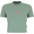 Dickies Maple Valley T-shirt Med Korte ærmer