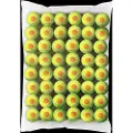 Wilson Starter Tennisbolde 48 Enheder