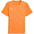 Puma Individual Padel Graphic Jersey Men, Clothing, Heat Fire, XXL