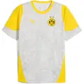 Puma Borussia Dortmund Training Jersey Men, Sport, Silver Mist/Faster Yellow, XS