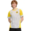 Puma Borussia Dortmund Training Jersey Men, Sport, Silver Mist/Faster Yellow, XL