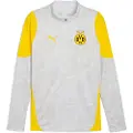 Puma Borussia Dortmund Training Quarter-Zip Top Men, Sport, Silver Mist/Faster Yellow, XS