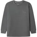 Pepe Jeans Pepe Jeanstil drenge. PB5000028 Telmo grå T-shirt (16años= 176cm), Casual, Bomuld, Lange ærmer, børnetøj