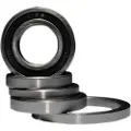 BLACK BEARING Ceramic Lejer