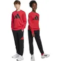 Adidas Essentials Joggers Sæt