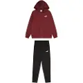 Puma Hooded Full-Zip Poly Suit Youth, Clothing, Ruby Shimmer, 11-12Y