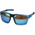 Carp Expert Blueray Solbriller