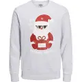 Jack & Jones Jortoon Sweatshirt